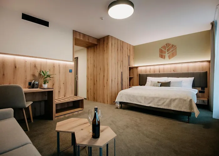 Rm Wellness & Congress Отель Прьевидза